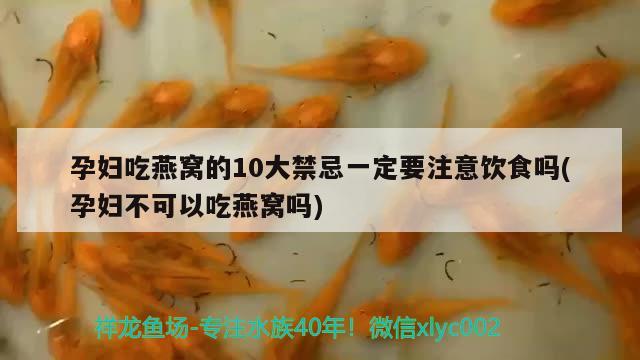 孕妇吃燕窝的10大禁忌一定要注意饮食吗(孕妇不可以吃燕窝吗) 马来西亚燕窝