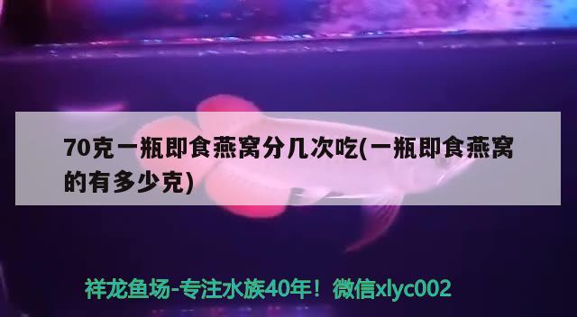 70克一瓶即食燕窝分几次吃(一瓶即食燕窝的有多少克) 马来西亚燕窝