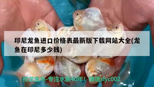 印尼龙鱼进口价格表最新版下载网站大全(龙鱼在印尼多少钱) 观赏鱼进出口