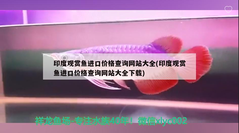 印度观赏鱼进口价格查询网站大全(印度观赏鱼进口价格查询网站大全下载) 观赏鱼进出口