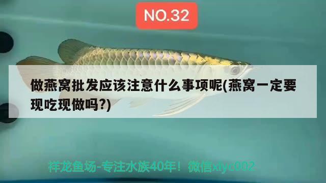 做燕窝批发应该注意什么事项呢(燕窝一定要现吃现做吗?) 马来西亚燕窝