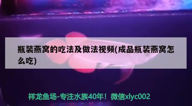 瓶装燕窝的吃法及做法视频(成品瓶装燕窝怎么吃) 马来西亚燕窝