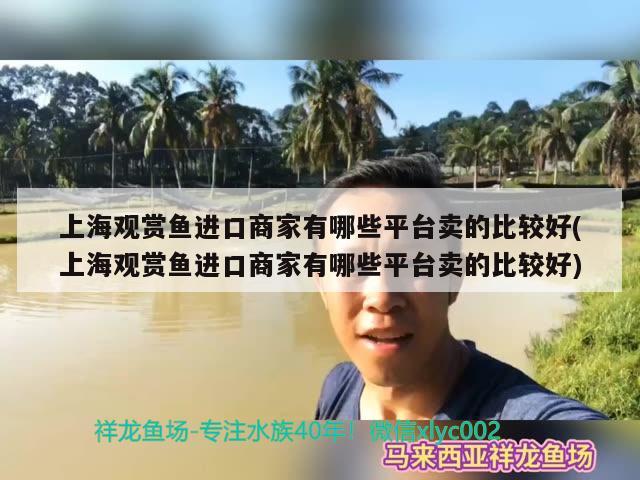 上海观赏鱼进口商家有哪些平台卖的比较好(上海观赏鱼进口商家有哪些平台卖的比较好)