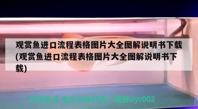 观赏鱼进口流程表格图片大全图解说明书下载(观赏鱼进口流程表格图片大全图解说明书下载) 观赏鱼进出口