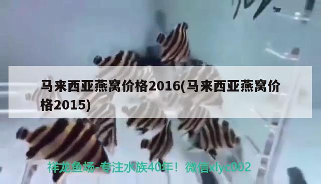 马来西亚燕窝价格2016(马来西亚燕窝价格2015)