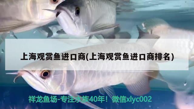 上海观赏鱼进口商(上海观赏鱼进口商排名)