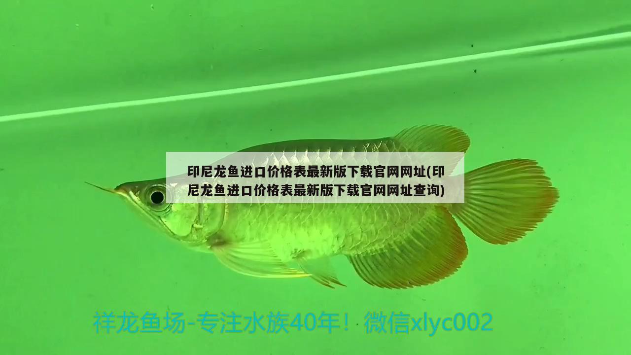 印尼龙鱼进口价格表最新版下载官网网址(印尼龙鱼进口价格表最新版下载官网网址查询)