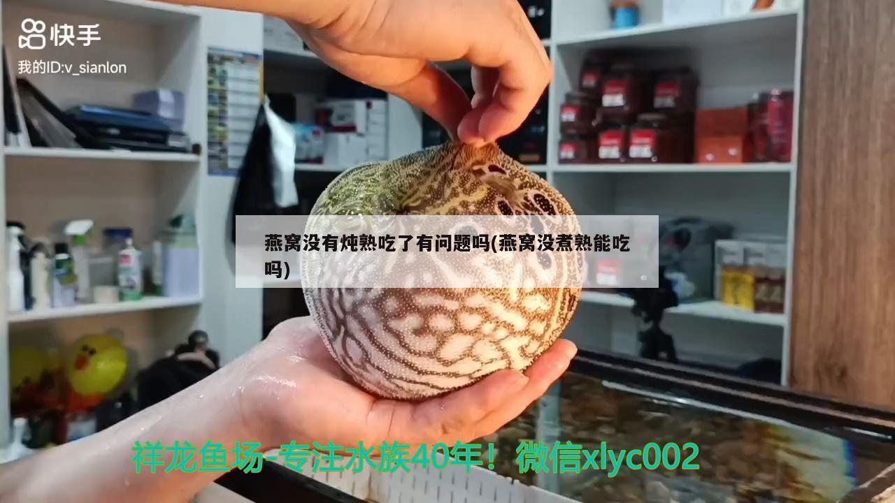 燕窝没有炖熟吃了有问题吗(燕窝没煮熟能吃吗) 马来西亚燕窝