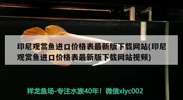 印尼观赏鱼进口价格表最新版下载网站(印尼观赏鱼进口价格表最新版下载网站视频)