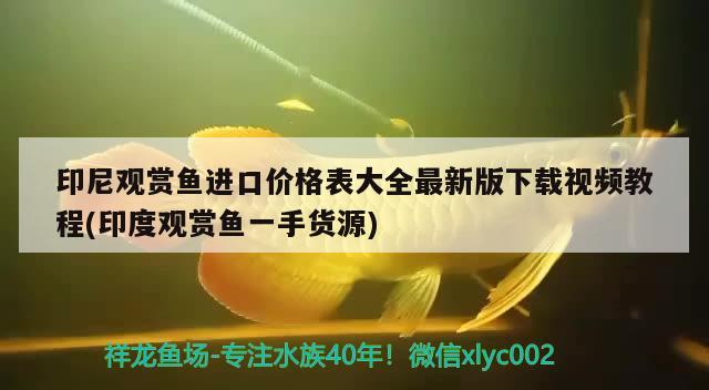 印尼观赏鱼进口价格表大全最新版下载视频教程(印度观赏鱼一手货源)