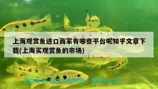 上海观赏鱼进口商家有哪些平台呢知乎文章下载(上海买观赏鱼的市场)