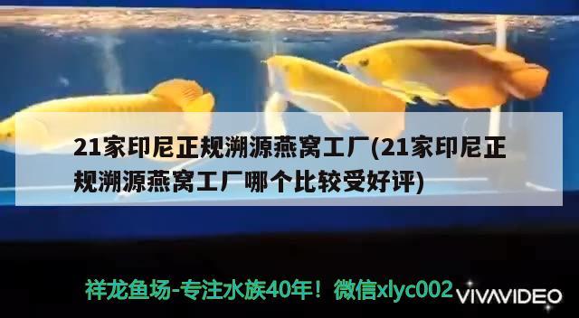 21家印尼正规溯源燕窝工厂(21家印尼正规溯源燕窝工厂哪个比较受好评) 马来西亚燕窝 第2张