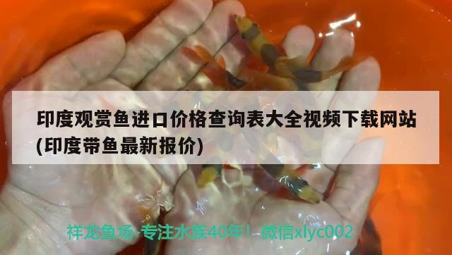 印度观赏鱼进口价格查询表大全视频下载网站(印度带鱼最新报价)