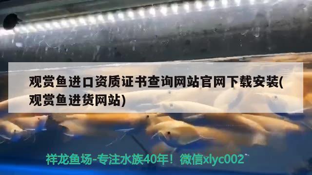 观赏鱼进口资质证书查询网站官网下载安装(观赏鱼进货网站)