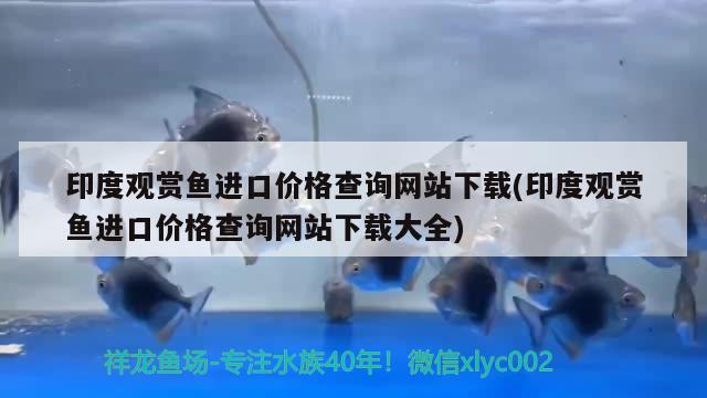 印度观赏鱼进口价格查询网站下载(印度观赏鱼进口价格查询网站下载大全)