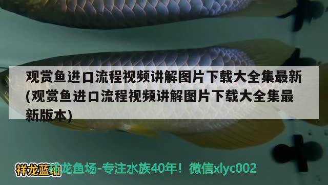 观赏鱼进口流程视频讲解图片下载大全集最新(观赏鱼进口流程视频讲解图片下载大全集最新版本)