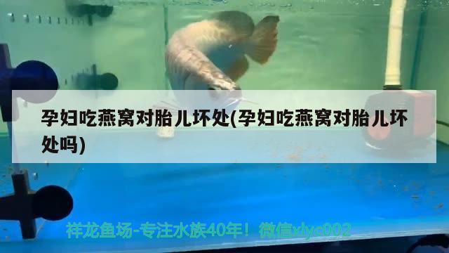 孕妇吃燕窝对胎儿坏处(孕妇吃燕窝对胎儿坏处吗) 马来西亚燕窝