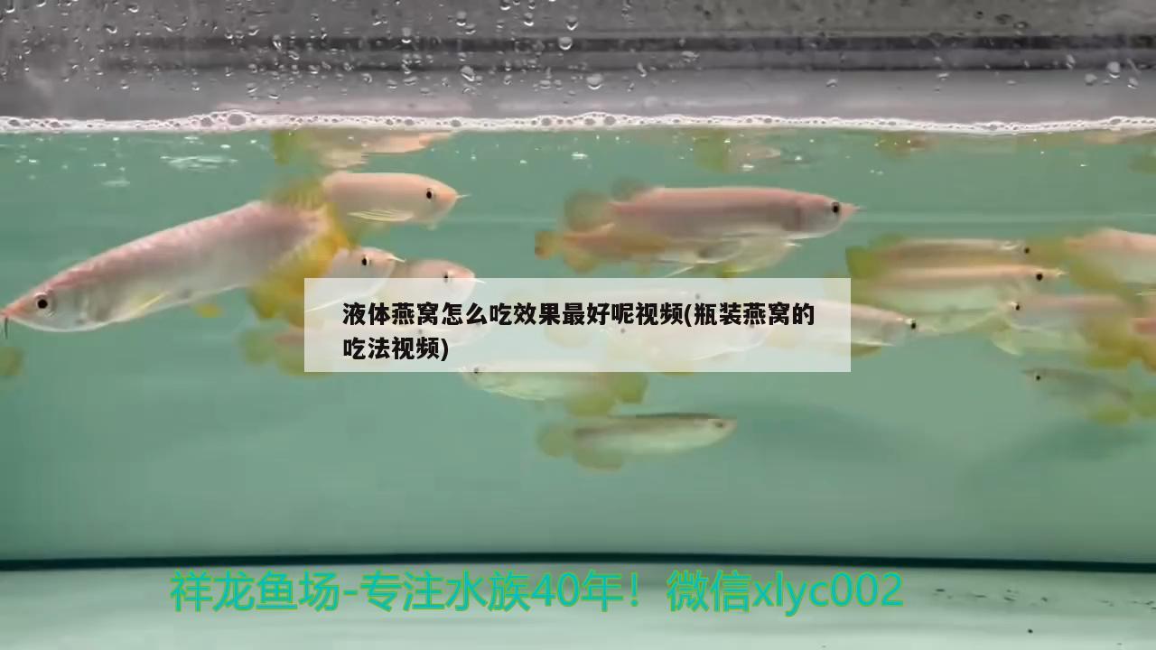 液体燕窝怎么吃效果最好呢视频(瓶装燕窝的吃法视频) 马来西亚燕窝