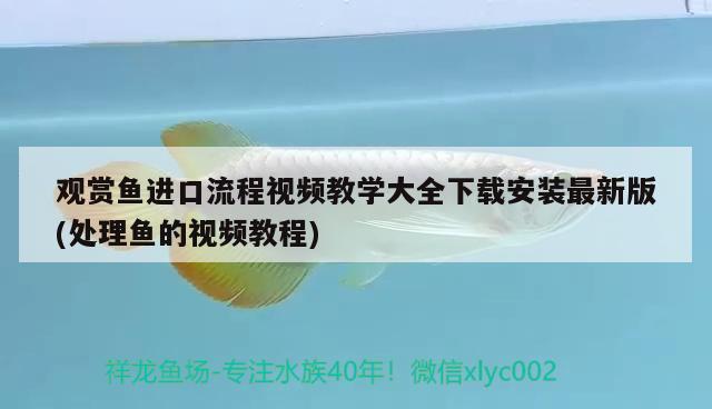 观赏鱼进口流程视频教学大全下载安装最新版(处理鱼的视频教程) 观赏鱼进出口