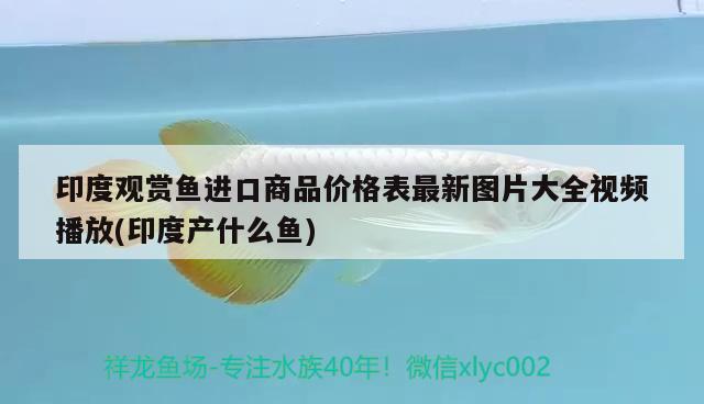 印度观赏鱼进口商品价格表最新图片大全视频播放(印度产什么鱼)