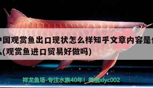 中国观赏鱼出口现状怎么样知乎文章内容是什么(观赏鱼进口贸易好做吗)