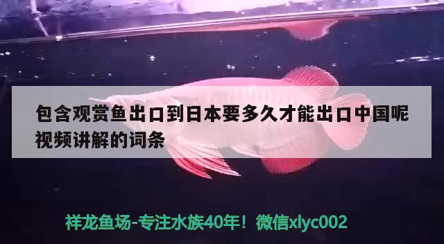 包含观赏鱼出口到日本要多久才能出口中国呢视频讲解的词条