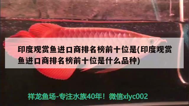 印度观赏鱼进口商排名榜前十位是(印度观赏鱼进口商排名榜前十位是什么品种) 观赏鱼进出口