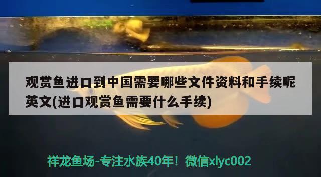 观赏鱼进口到中国需要哪些文件资料和手续呢英文(进口观赏鱼需要什么手续) 观赏鱼进出口