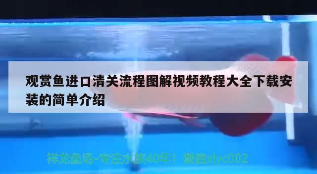 观赏鱼进口清关流程图解视频教程大全下载安装的简单介绍