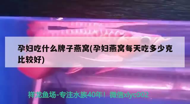 孕妇吃什么牌子燕窝(孕妇燕窝每天吃多少克比较好) 马来西亚燕窝