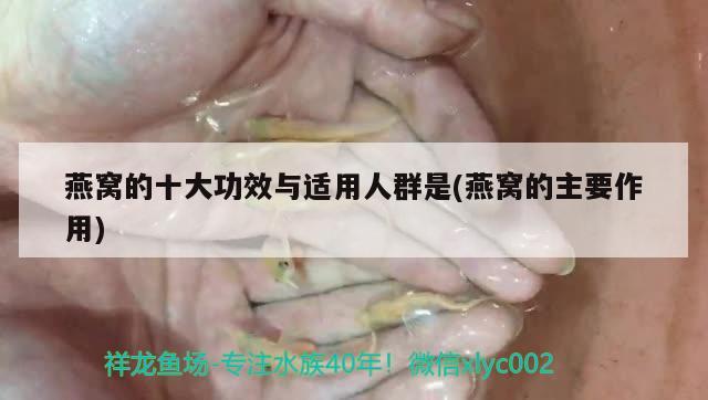 燕窝的十大功效与适用人群是(燕窝的主要作用) 马来西亚燕窝