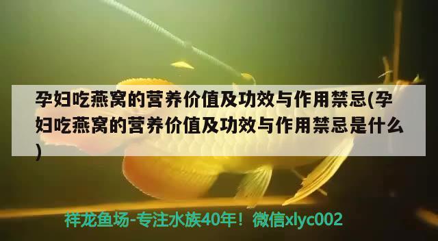 孕妇吃燕窝的营养价值及功效与作用禁忌(孕妇吃燕窝的营养价值及功效与作用禁忌是什么) 马来西亚燕窝