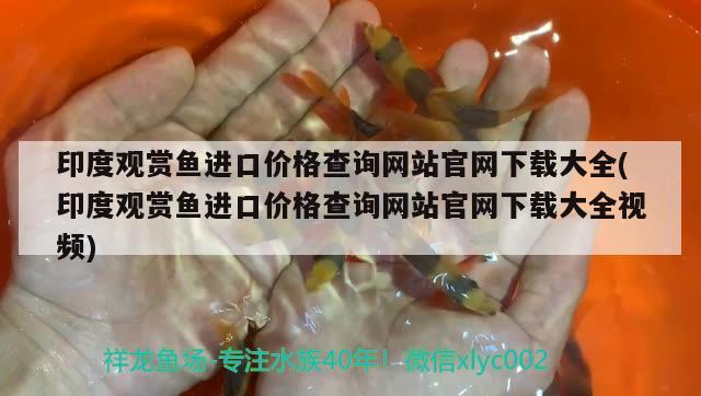 印度观赏鱼进口价格查询网站官网下载大全(印度观赏鱼进口价格查询网站官网下载大全视频)