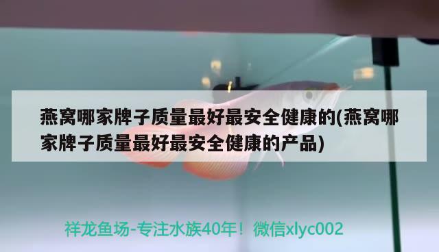 燕窝哪家牌子质量最好最安全健康的(燕窝哪家牌子质量最好最安全健康的产品)