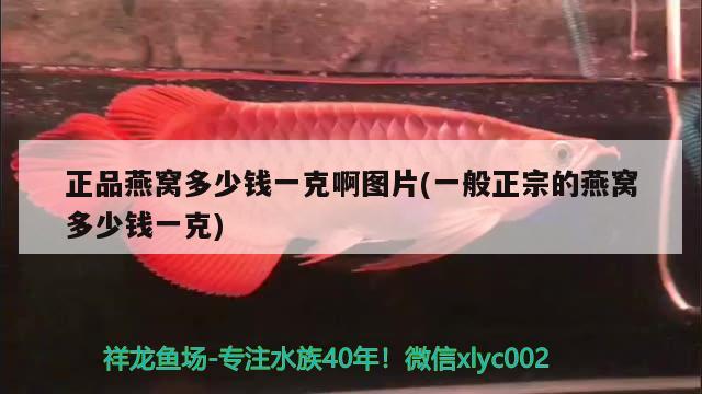 正品燕窝多少钱一克啊图片(一般正宗的燕窝多少钱一克) 马来西亚燕窝