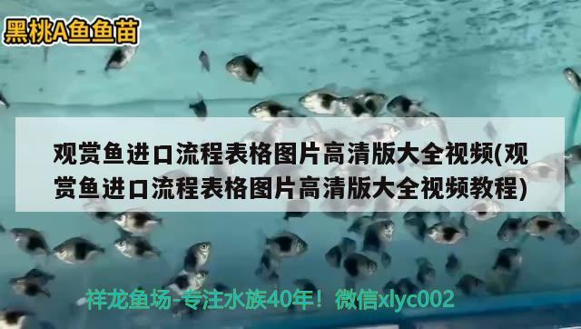 观赏鱼进口流程表格图片高清版大全视频(观赏鱼进口流程表格图片高清版大全视频教程)