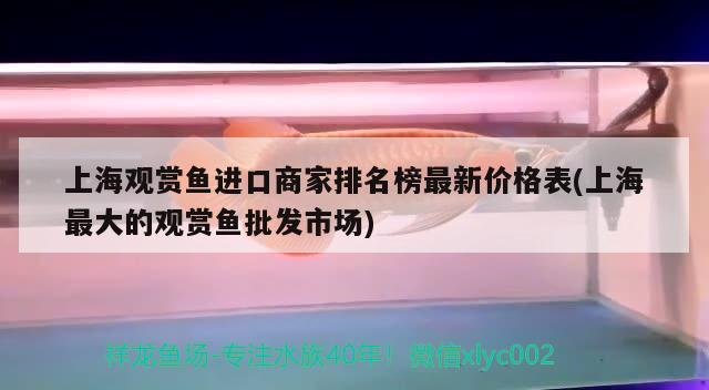 上海观赏鱼进口商家排名榜最新价格表(上海最大的观赏鱼批发市场) 观赏鱼进出口