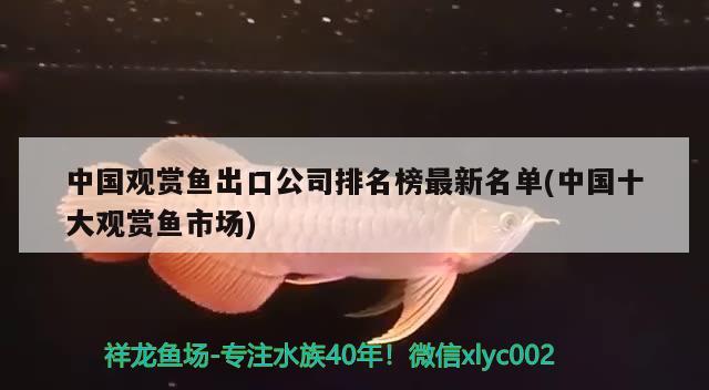 中国观赏鱼出口公司排名榜最新名单(中国十大观赏鱼市场) 观赏鱼进出口