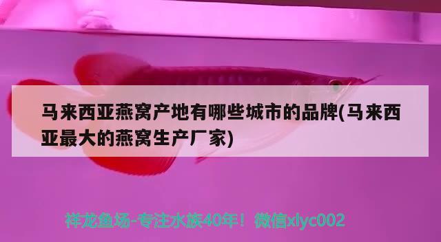 马来西亚燕窝产地有哪些城市的品牌(马来西亚最大的燕窝生产厂家) 马来西亚燕窝