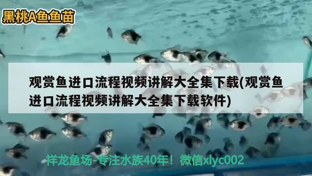 观赏鱼进口流程视频讲解大全集下载(观赏鱼进口流程视频讲解大全集下载软件)