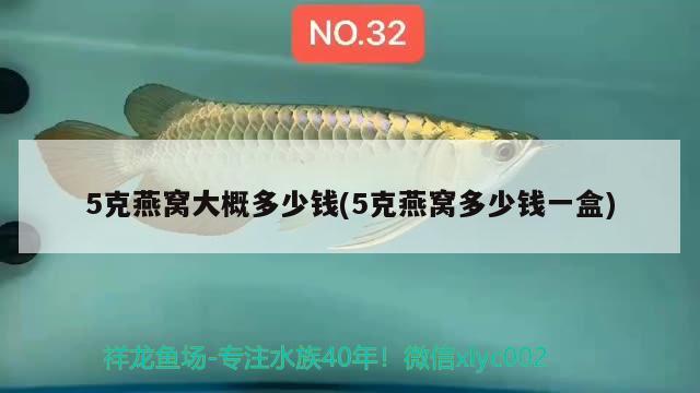 5克燕窝大概多少钱(5克燕窝多少钱一盒) 马来西亚燕窝