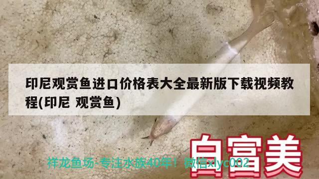 印尼观赏鱼进口价格表大全最新版下载视频教程(印尼观赏鱼)