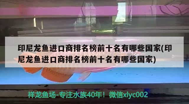 印尼龙鱼进口商排名榜前十名有哪些国家(印尼龙鱼进口商排名榜前十名有哪些国家)