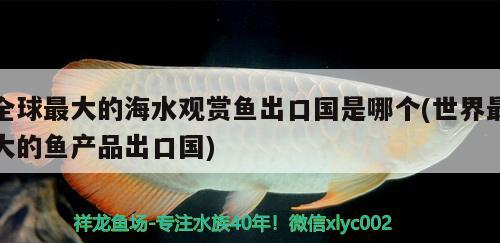 全球最大的海水观赏鱼出口国是哪个(世界最大的鱼产品出口国) 观赏鱼进出口