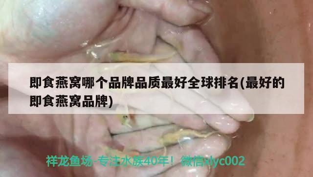 即食燕窝哪个品牌品质最好全球排名(最好的即食燕窝品牌) 马来西亚燕窝