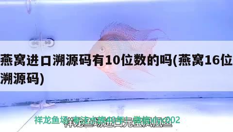 燕窝进口溯源码有10位数的吗(燕窝16位溯源码)