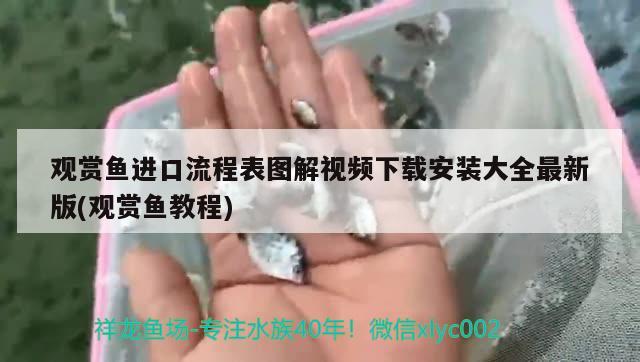 观赏鱼进口流程表图解视频下载安装大全最新版(观赏鱼教程)