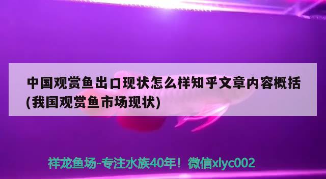 中国观赏鱼出口现状怎么样知乎文章内容概括(我国观赏鱼市场现状) 观赏鱼进出口