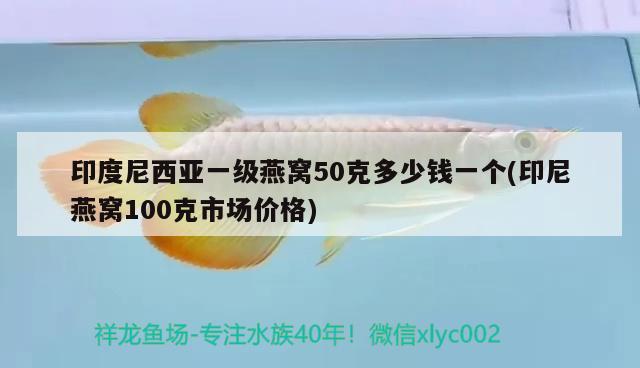 印度尼西亚一级燕窝50克多少钱一个(印尼燕窝100克市场价格) 马来西亚燕窝