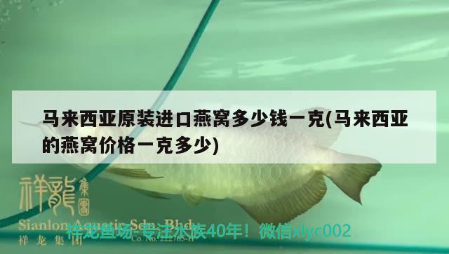 马来西亚原装进口燕窝多少钱一克(马来西亚的燕窝价格一克多少) 马来西亚燕窝